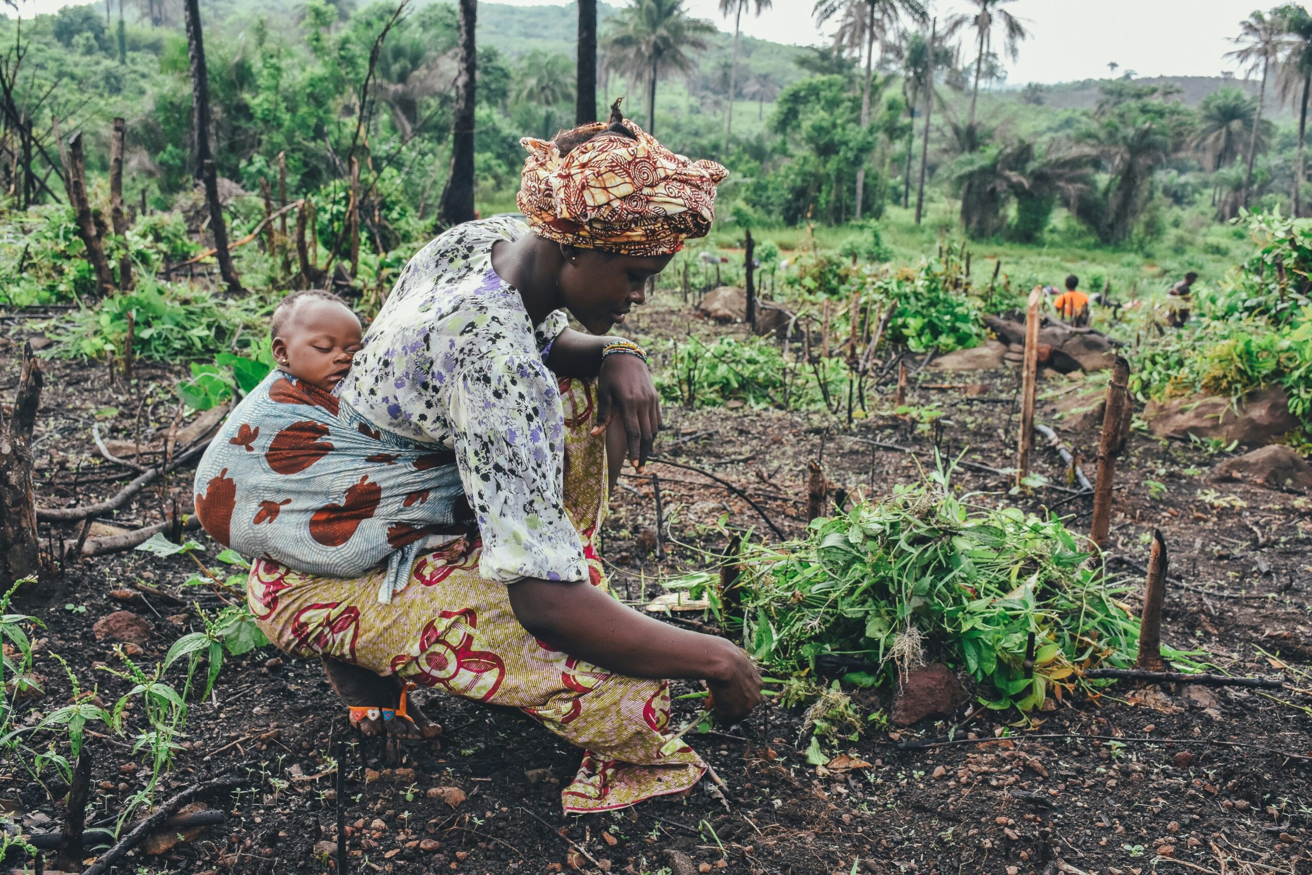 annie spratt galzdcna5ei unsplash